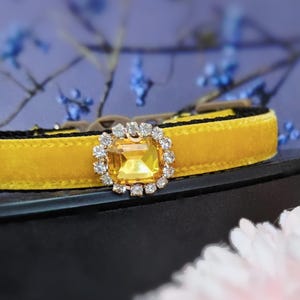 Collar de gato con diamantes de imitación desmontable, collar de perro de terciopelo amarillo jengibre. Collar de perro pequeño, collar de perro taza de té, collar de gatito. Collar de gato caído, collar de cachorro.
