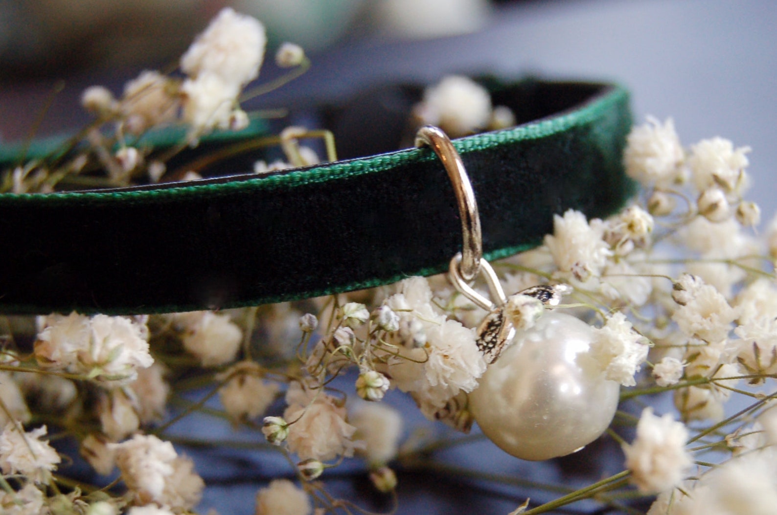 Cute Black Green Velvet Cat Collar.pearl Cat Collarsmall Dog Etsy