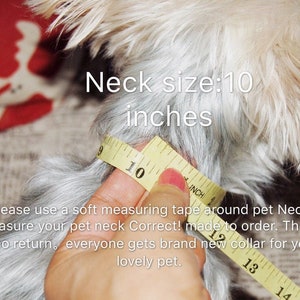 May include: A close-up of a dog's neck being measured with a yellow tape measure. The tape measure reads 10 inches. The text "Neck size: 10 inches" is visible above the dog's neck. The text "Please use a soft measuring tape around pet Neck measure your pet neck Correct! made to order. There is no return, everyone gets brand new collar for your lovely pet." is visible below the dog's neck.