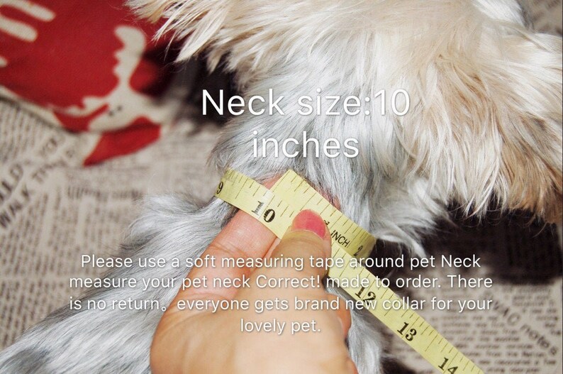 May include: A close-up of a dog's neck being measured with a yellow tape measure. The tape measure reads 10 inches. The text "Neck size: 10 inches" is visible above the dog's neck. The text "Please use a soft measuring tape around pet Neck measure your pet neck Correct! made to order. There is no return, everyone gets brand new collar for your lovely pet." is visible below the dog's neck.