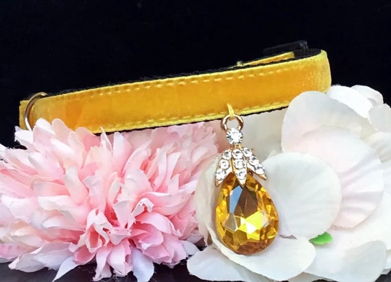 autumn  Cat collar.Ginger yellow velvet Cat collar,rhinestone dog collar.fall cat collar,Birthday gift for cat,cat necklace.tiny dog collar.