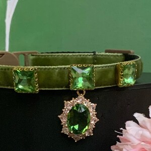 Designer cat collars gucci online