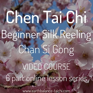 Chen Tai Chi Silk Reeling Video Course, Downloadable MP4, Beginner Tai Chi, Chan Si Gong, Traditional Tai Chi, Online Learning, Study Taiji