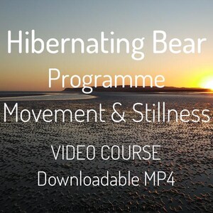 May include: A scenic image of a sunset over a beach, with text overlayed. The text reads "Hibernating Bear Programme - Movement & Stillness - VIDEO COURSE - Downloadable MP4". The sky is a gradient of orange and yellow.