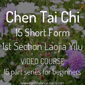 Chen Tai Chi 15 Form, Downloadable MP4, Learn Tai Chi, Tai Chi Videos, Video Series for Beginners, Tai Chi Video Classes, Learn Tai Chi Form