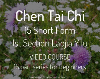 Chen Tai Chi 15 Form, Downloadable MP4, Learn Tai Chi, Tai Chi Videos, Video Series for Beginners, Tai Chi Video Classes, Learn Tai Chi Form