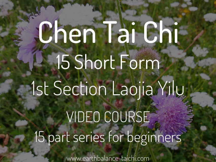Chen Tai Chi 15 Form Video Course: Learn Beginner Tai Chi via Downloadable MP4 Classes