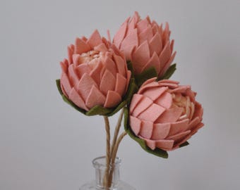 Felt Flowers / Protea