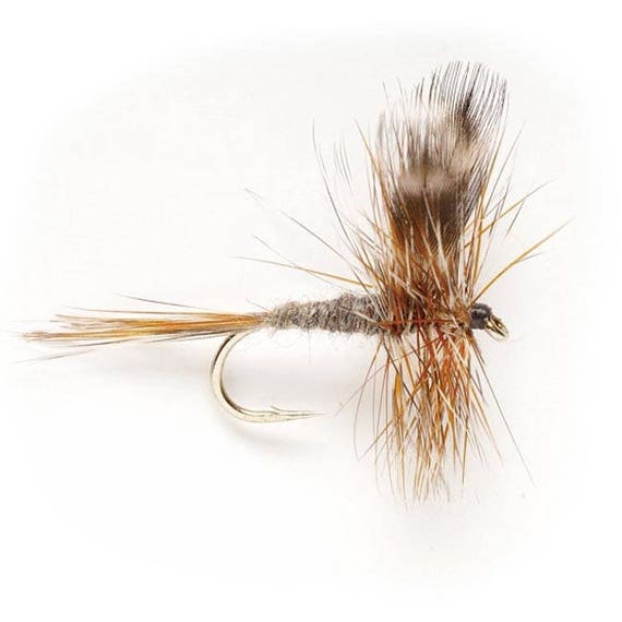 Fishing Flies, Trout Flies 5 Adams Dry Flies, Dry Flies Sizes 10, 12, 14,  16, 18 Gifts for Men -  Canada