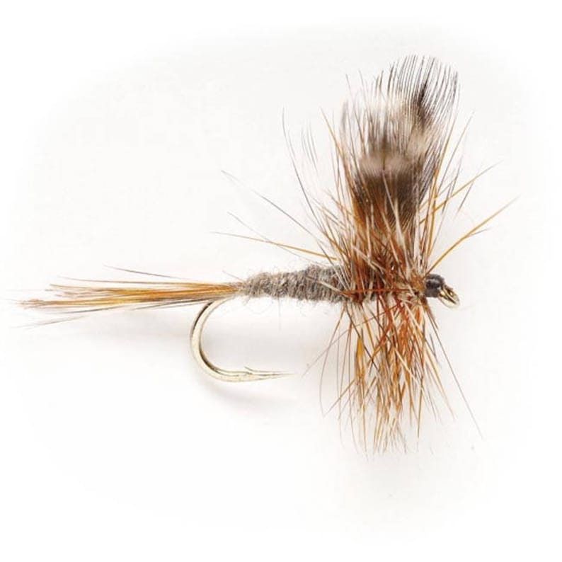 Fishing Flies, Trout Flies 5 Adams Dry Flies, Dry Flies Sizes 10, 12