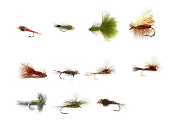Premium Trout Fishing Fly Assortment Dry and Nymph Flies 50 Best Fishing  Flies Fishing, Gifts for Men FREE SHIPPING 