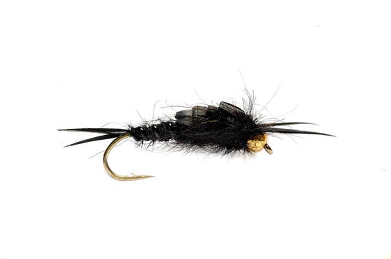 Trout Flies, Fishing Flies 5 Bead Head Stonefly Fishing Flies Black, Wet  Flies, Nymph Flies Sizes 10, 12, 14, 16, 18 