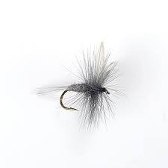 Fishing Flies, Trout Flies - 5 Blue Dunn Fishing Flies, Dry Flies - Sizes  10, 12, 14, 16, 18 - Gifts for Men
