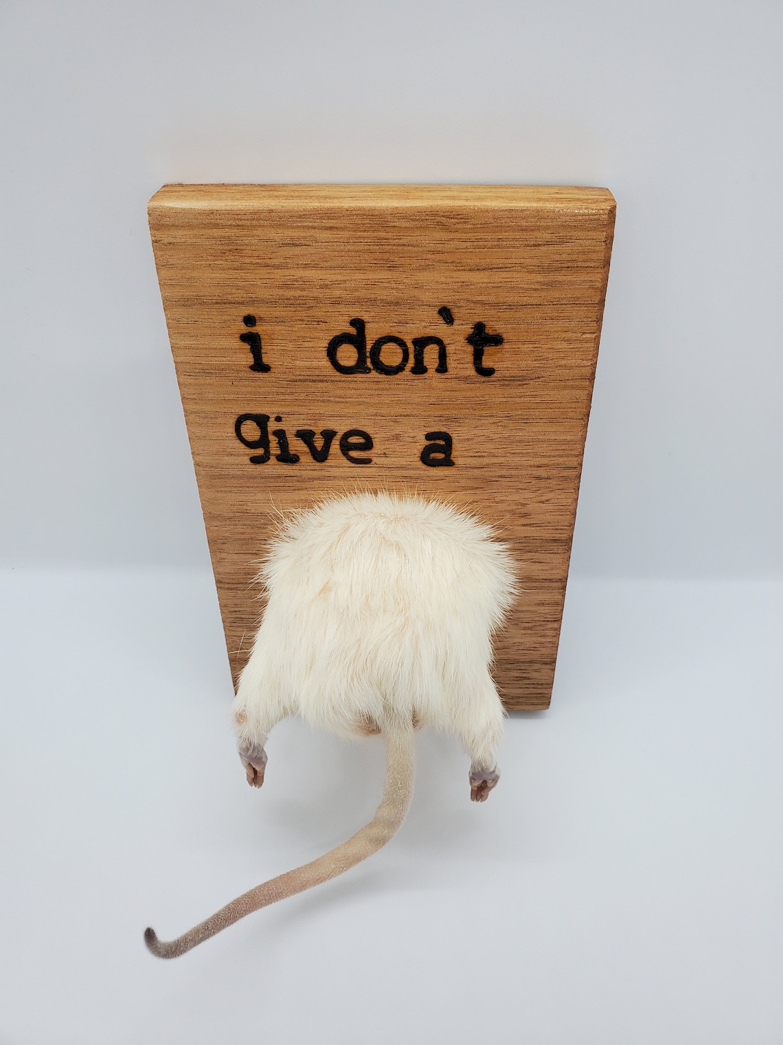I don't give a rats ass wall hanging sign Etsy