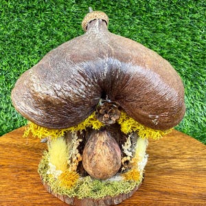 Puede incluir: Una casa de hadas artesanal con un techo marrón texturizado y una base de madera. La casa presenta una estructura central en forma de lágrima y está adornada con musgo amarillo y verde y flores secas, creando una estética natural y caprichosa.
