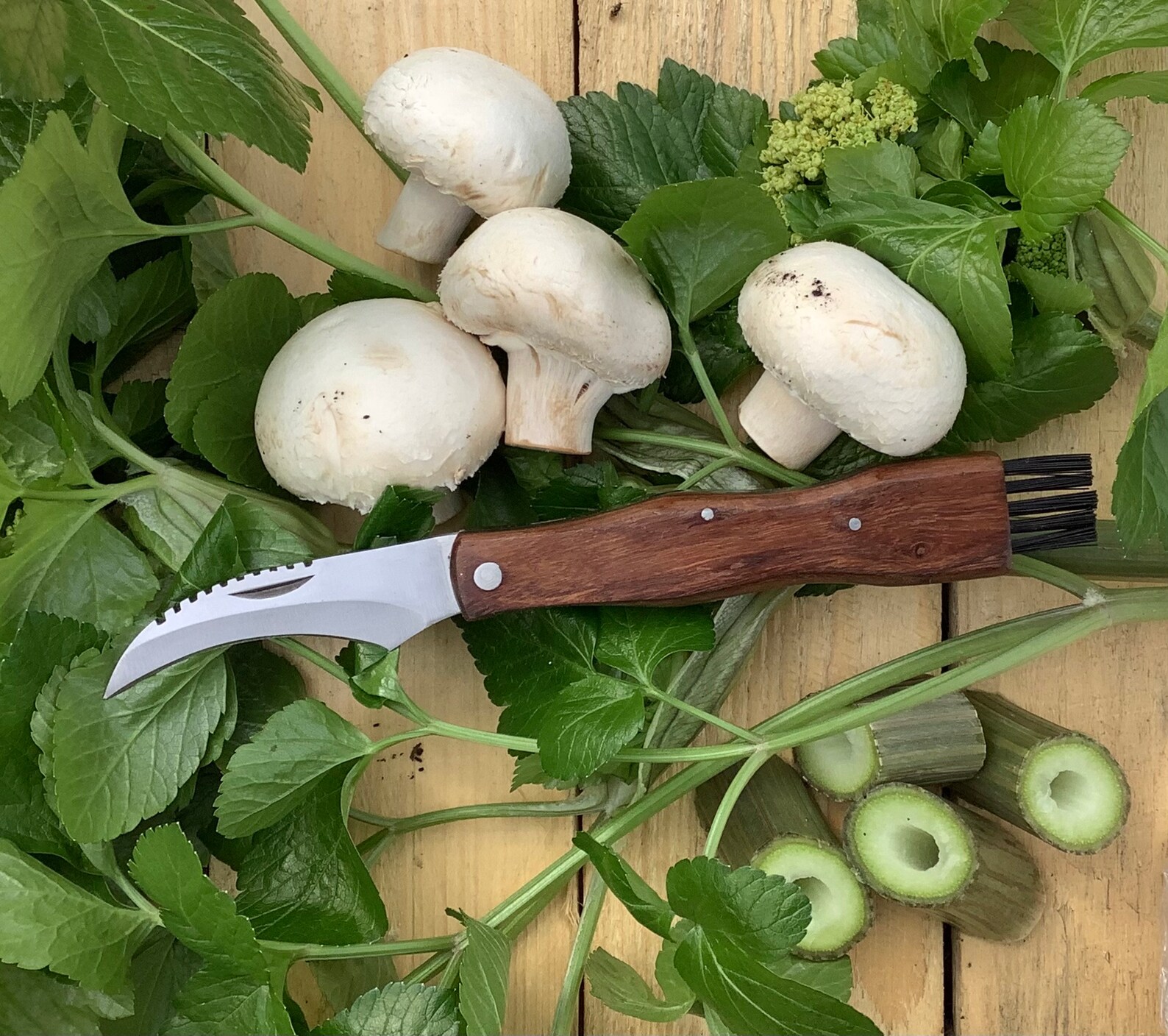 VEGAN MUSHROOM HUNTERS Pocket Knife No1 Etsy