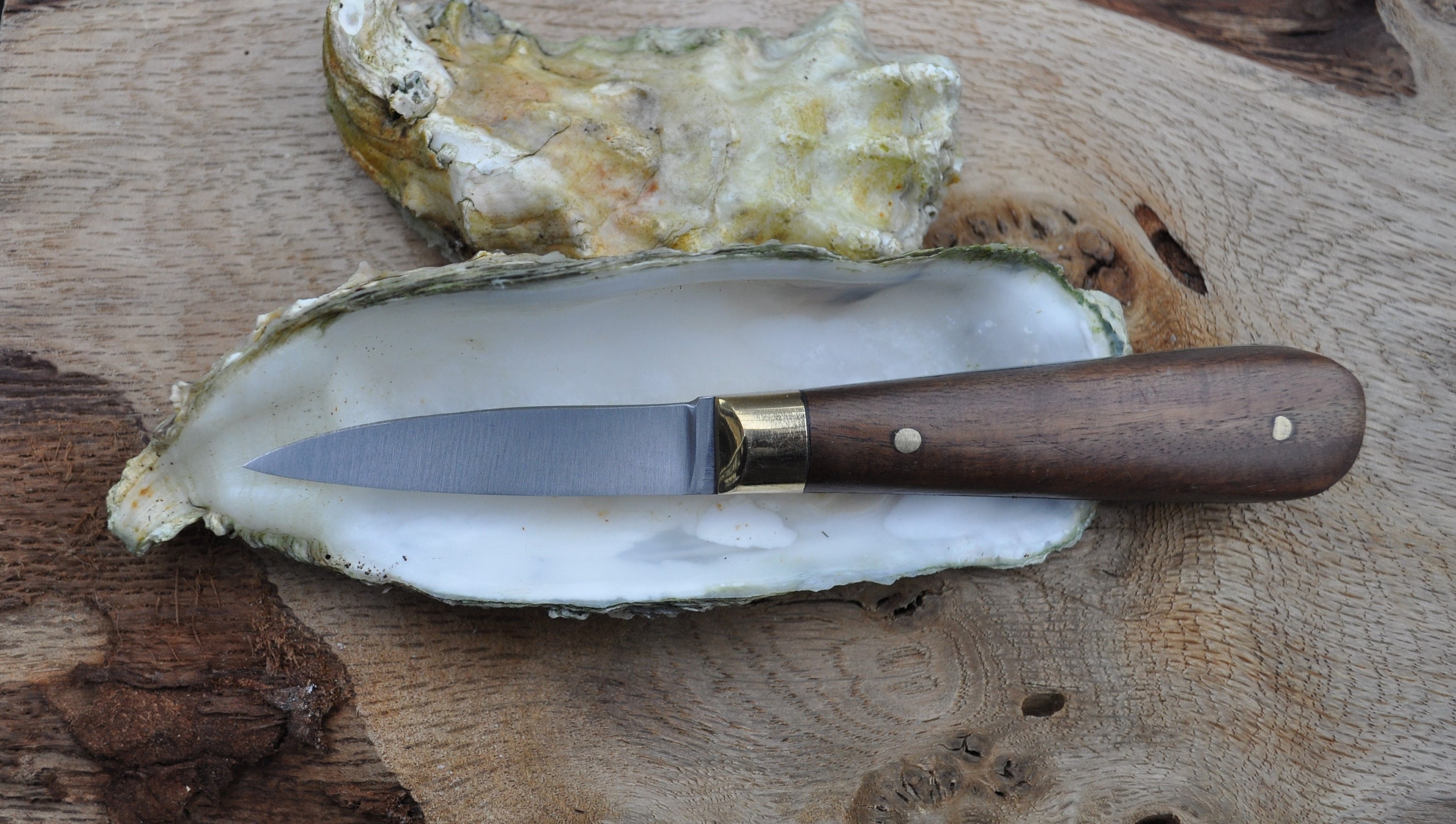 OYSTER SHUCKING KNIFE Etsy