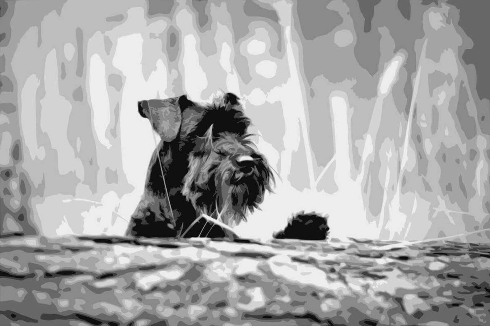 Miniature Schnauzer Layered Papercut Template Dog Etsy miniature-schnauzer-layered-papercut-template-dog-etsy