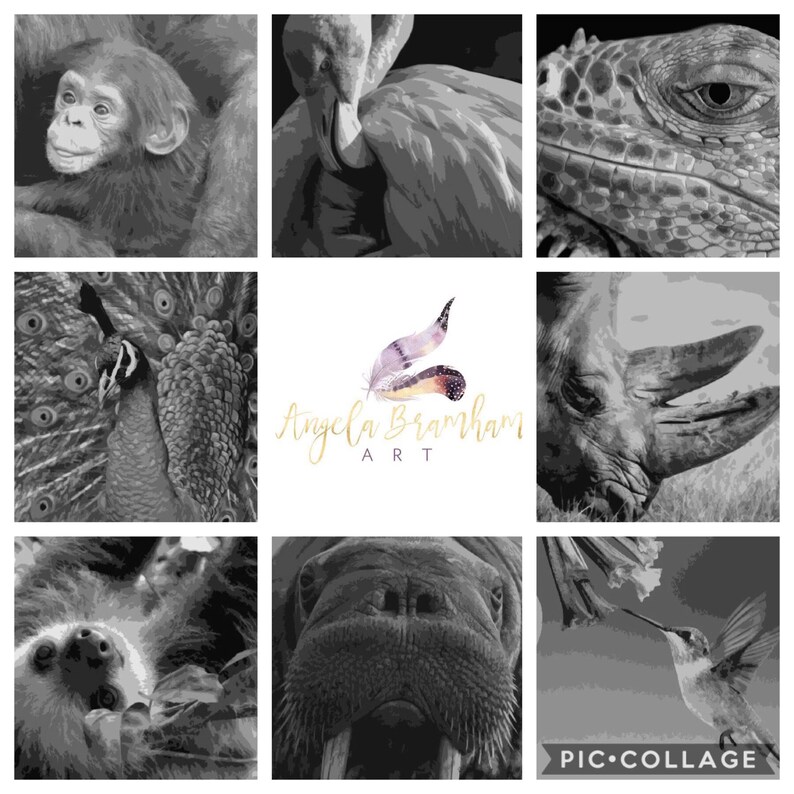 Download Craft Supplies Tools Personal Use A Z Animals Commercial Use Animal Pape Papercut Template Bundle 26 Layered Papercut Templates Wildlife Wildlife Portrait Paper Quilling