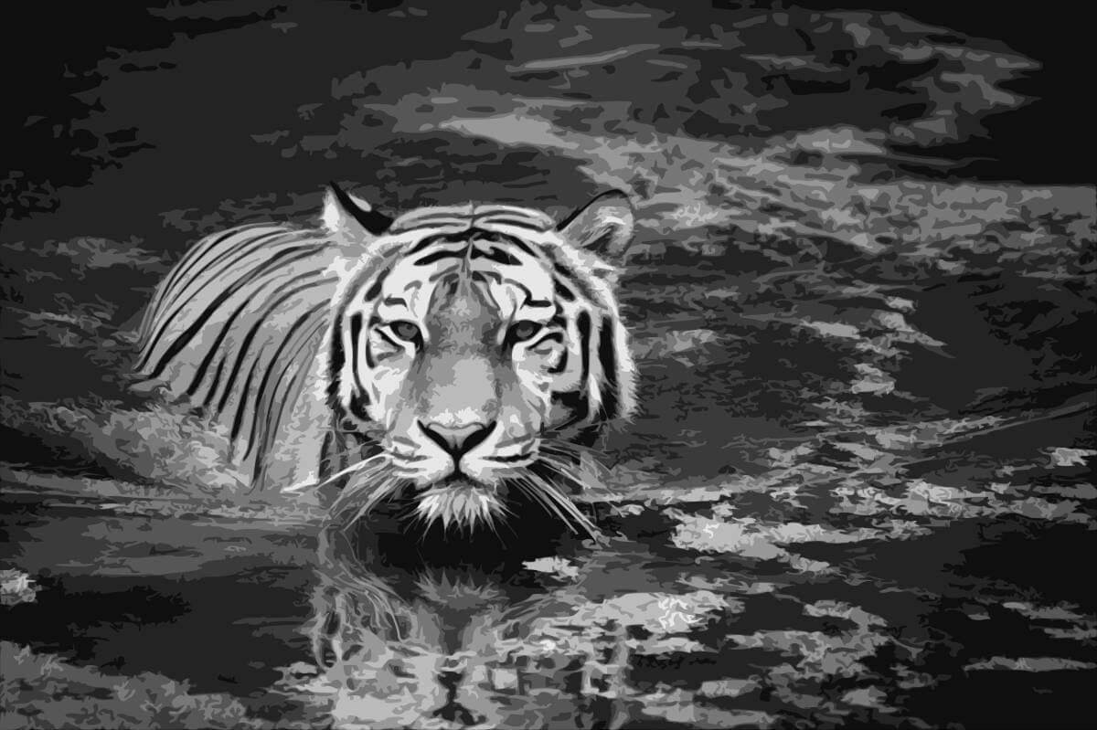 Download Tiger Layered Papercut Template Wildlife Portrait Big Cat Etsy