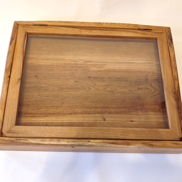 Pedido del cliente - vitrina de mesa - vitrina con bisagras y panel de plexiglás con borde de árbol en roble - 50 (W) x 25 (D) x 10 (H)