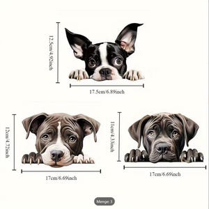 Peut inclure: Trois autocollants de chiens représentant un Boston Terrier noir et blanc de 12,5 cm sur 17,5 cm, un Pitbull marron et blanc de 12 cm sur 17 cm et un chien marron de 11 cm sur 17 cm, tous montrés regardant par-dessus un rebord avec leurs pattes.