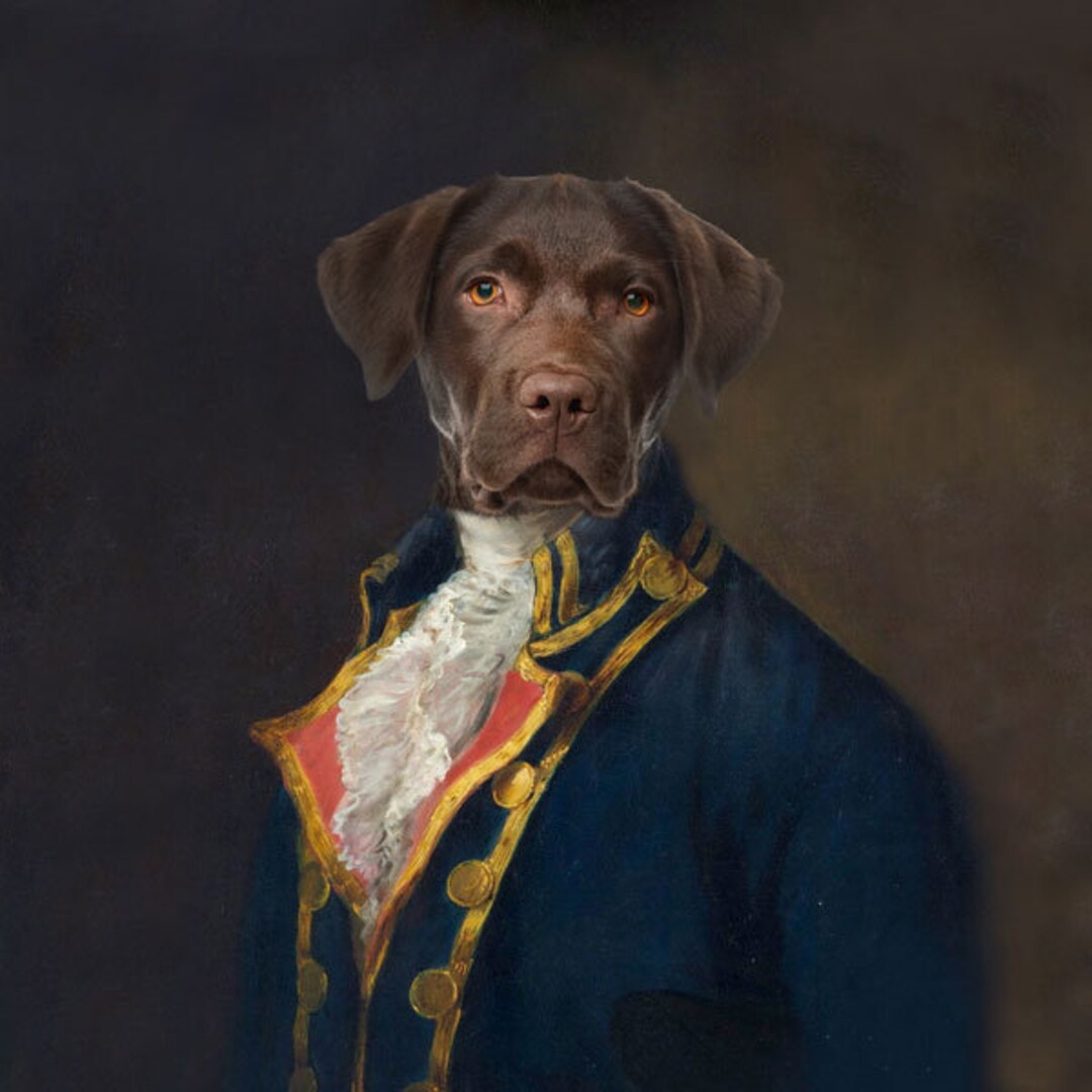 Sew Panel Jersey Portrait Labrador Measurementsca50x53cm Etsy