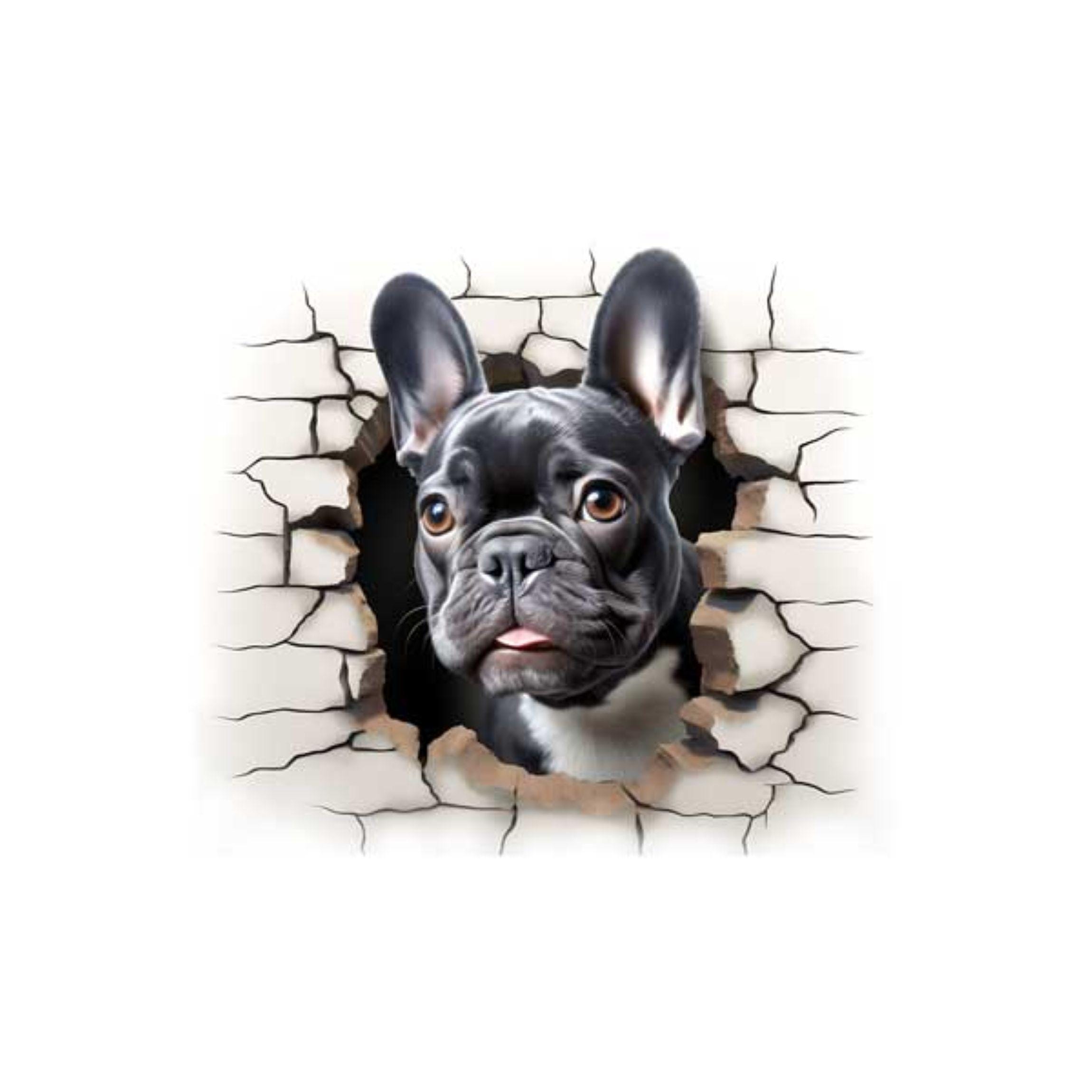 Panel Jersey französischer Buldogge Maße:ca nähen