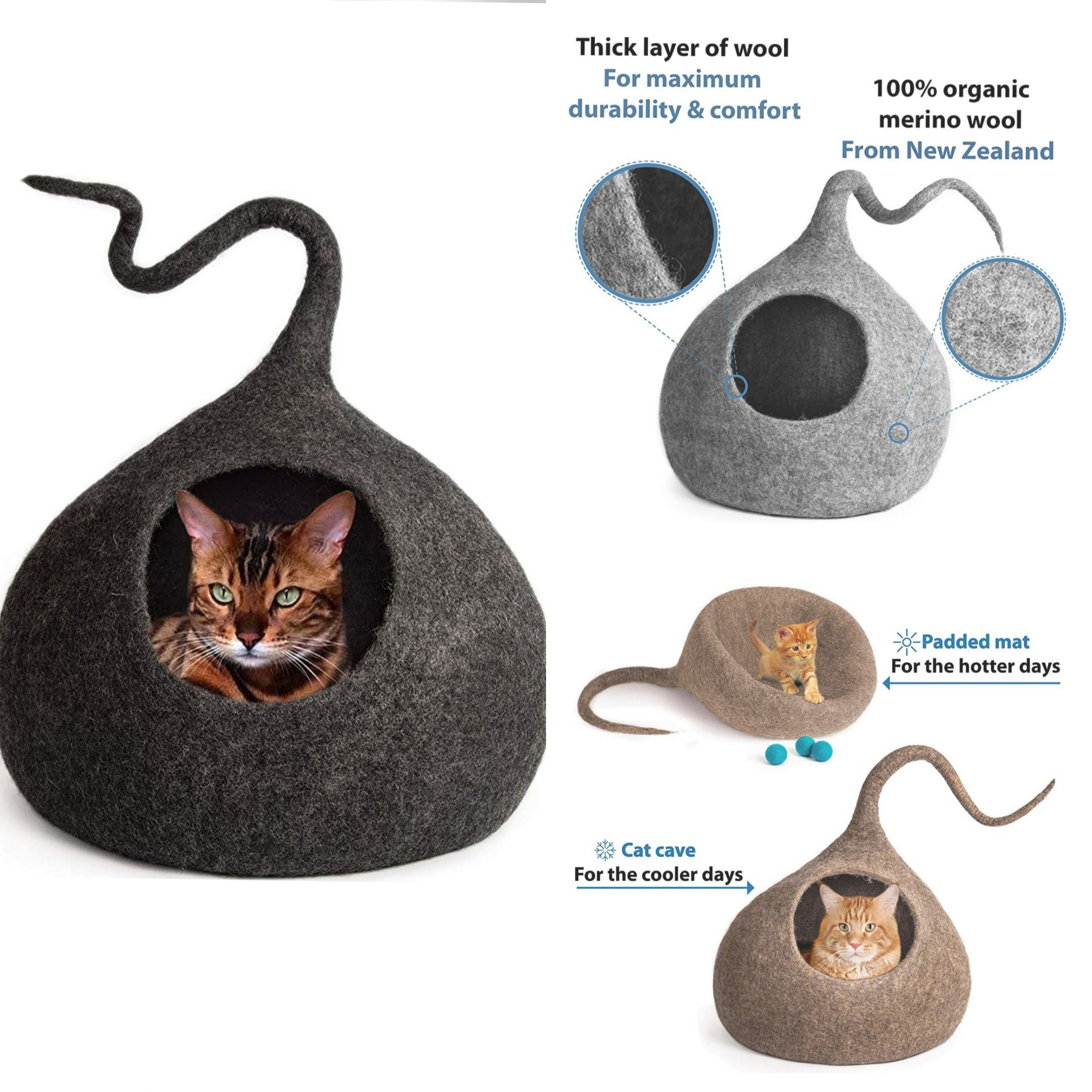 proudly blessed cat bed