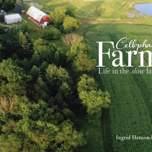 A memoir, book, by Ingrid Hanson-Popp, will inspire you to live your best life. Learn of my mom&#39;s simple, resilient life of faith.