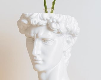 David Head Hydroponic Planter: Ekologiczna stacja propagacji PLA