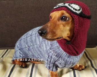 Handmade Dog sweater Aviator Hoodie for dogs Dachshund Clothes