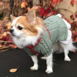 Chihuahua dress Small Dog Merino wool Sweater for Chihuahua Small Dog clothes Dress for dog Toy terrier clothes Toy poodle Puppy clothes