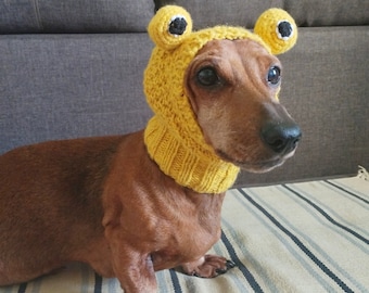 Handmade Wool Frog Dog Hat: Warm Knit Costume