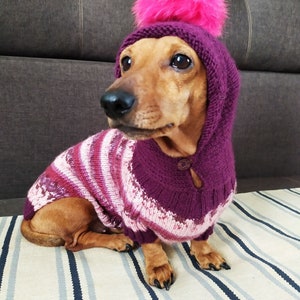 Hoodie for dachshund with fur pompon knitted dog pullover handmade warm wool sweater for dog hoodie for dog dog sweater image 4