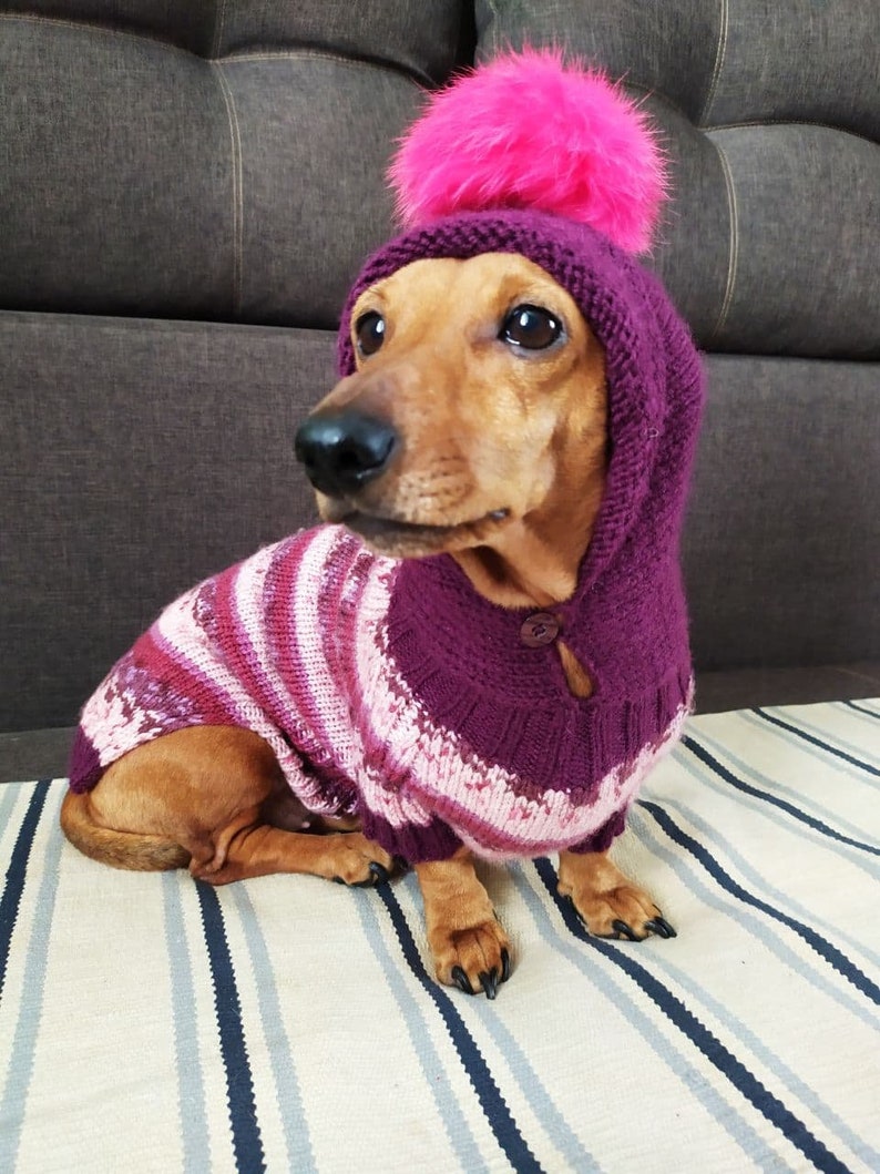 Hoodie for dachshund with fur pompon knitted dog pullover handmade warm wool sweater for dog hoodie for dog dog sweater image 4