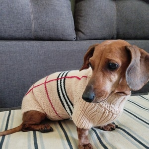 Gestrickter Hundepullover: Pullover für Dackel aus Wollgemisch, Hundepullover