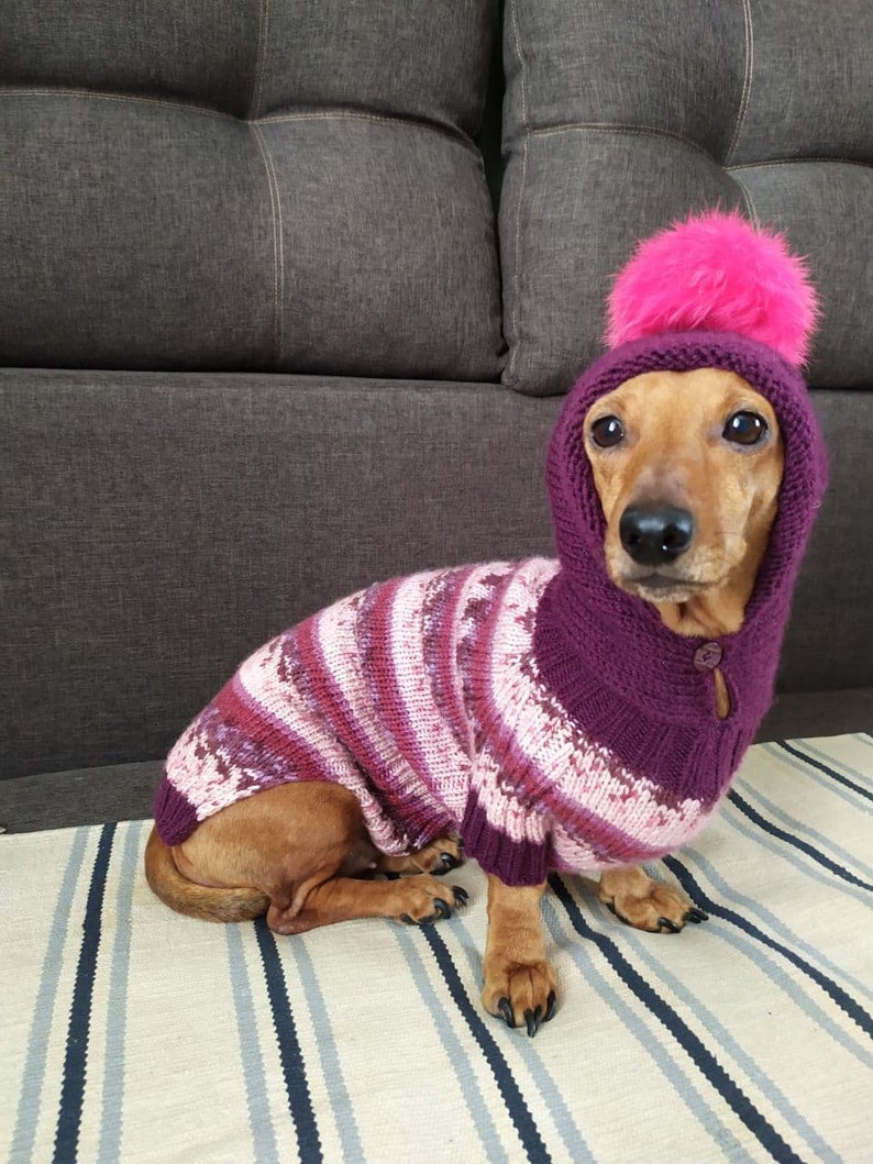 Hoodie for dachshund with fur pompon knitted dog pullover handmade warm wool sweater for dog hoodie for dog dog sweater image 5