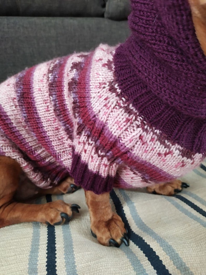 Hoodie for dachshund with fur pompon knitted dog pullover handmade warm wool sweater for dog hoodie for dog dog sweater image 8