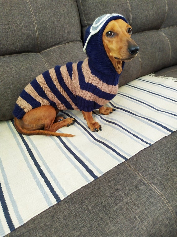 Dachshund hoodie for dogs 2025