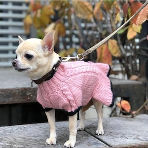 Chihuahua dress Small Dog Sweater for Chihuahua Small Dog clothes Toy terrier clothes Dress for dog Puppy clothes Fancy clothes for dogs