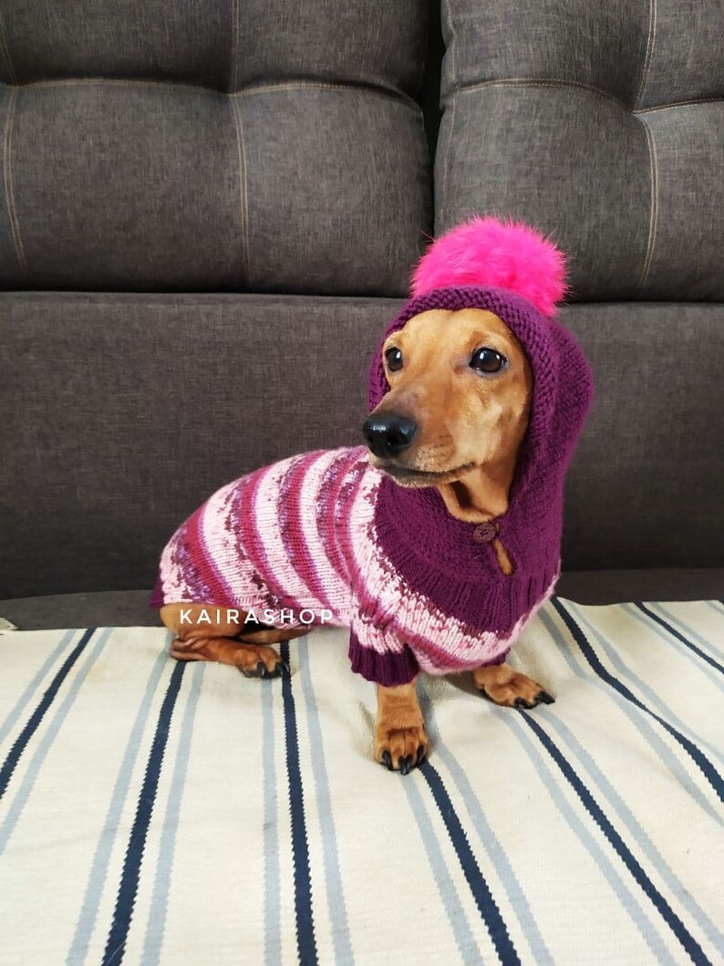 Hoodie for dachshund with fur pompon knitted dog pullover handmade warm wool sweater for dog hoodie for dog dog sweater image 2