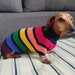 see more listings in the Dachshund section