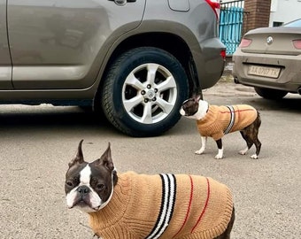 Stripped Dog Sweater for Boston Terrier Hand Knitted Sweater for Boston terrier Sweater for Bostonl Bulldog Dog Costume French bulldog