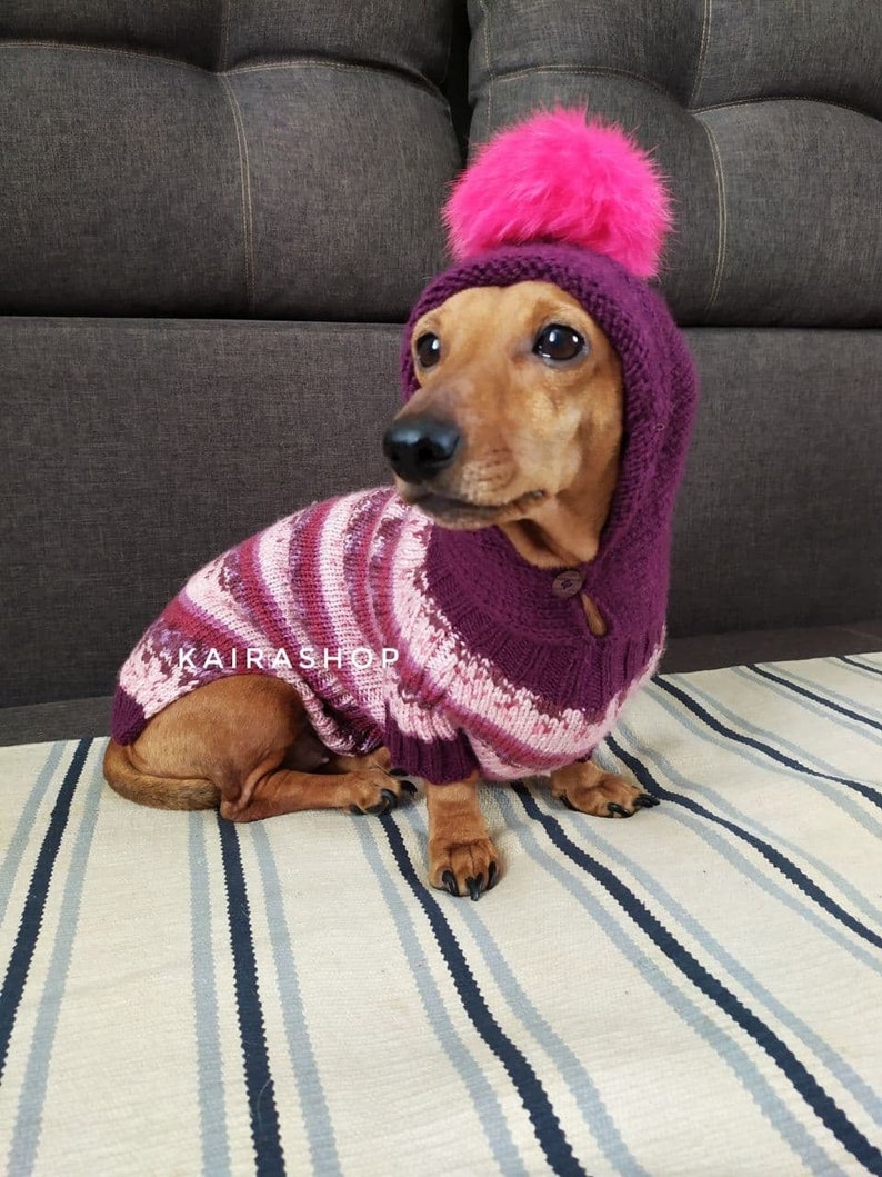 Hoodie for dachshund with fur pompon knitted dog pullover handmade warm wool sweater for dog hoodie for dog dog sweater image 1