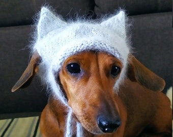 Angora hat for dog with ears / dog hat / hats for dog