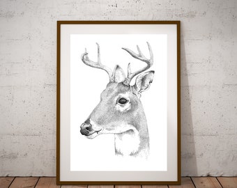 Deer - Modern Wall Art , Fine Art Print, A4 nature poster, animal, cute, pen & ink, black and white, home decor, countryside gift,