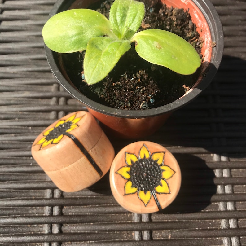 May include: Two small, cylindrical wooden containers featuring a hand-burned and painted sunflower design on the lids. The sunflowers have yellow petals and dark brown centres. One container is closed, while the other shows the top lid design.