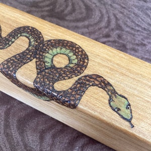 May include: A wooden box with a hand-drawn image of a snake with brown and green scales. The snake is curled up and its head is facing the right side of the box.