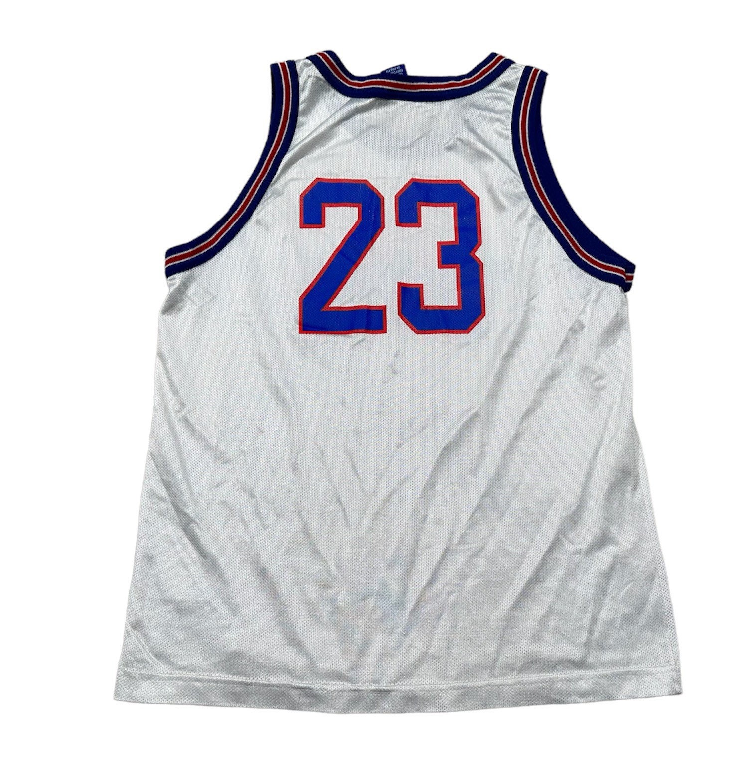 air jordan space jam jersey